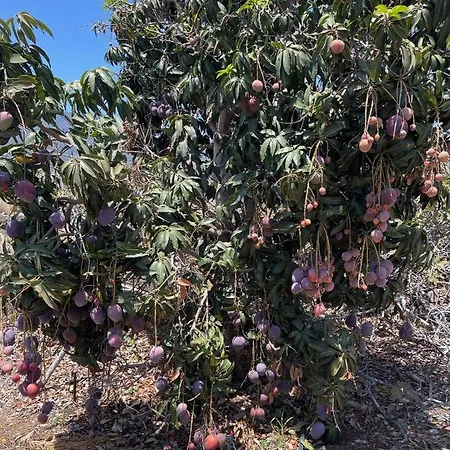 Finca La Costa #2 *
